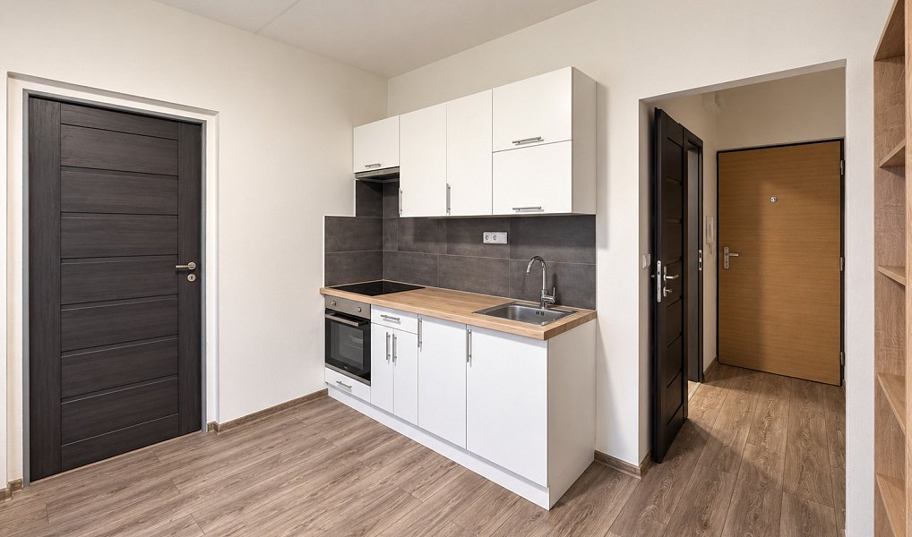 Pronájem bytu 1+1, 37 m², Louny, Žatec