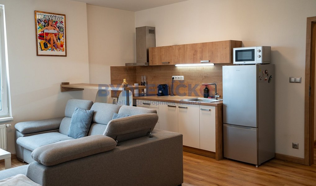 Prodej bytu 1+kk 45 m², České Budějovice – náhled fotky 11