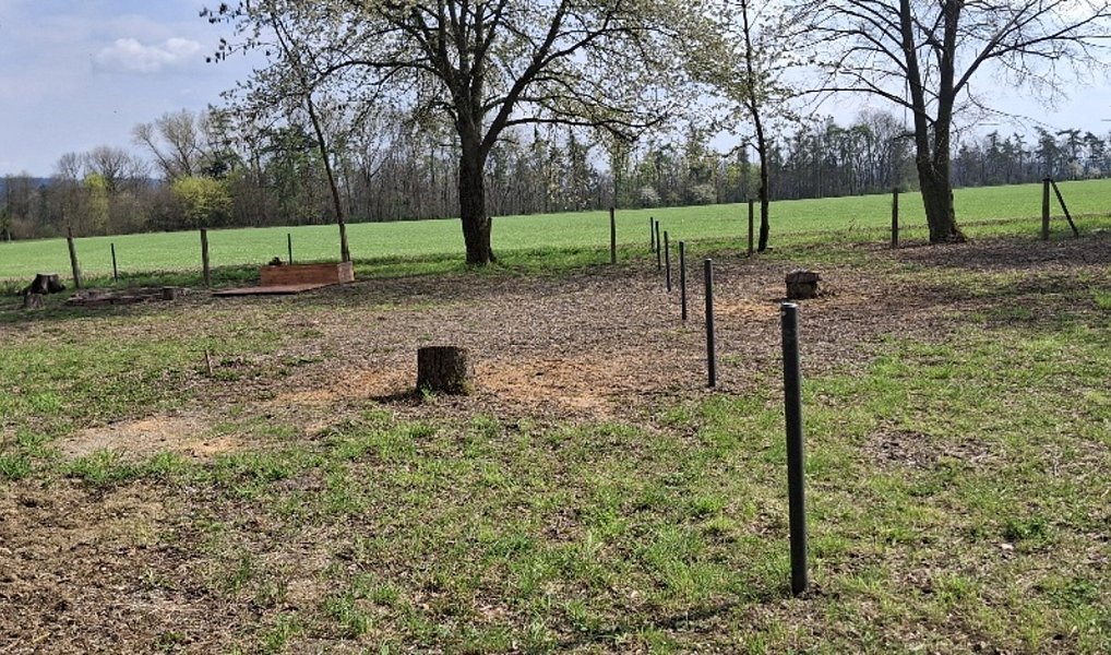 Prodej stavebního pozemku 2 666 m², Jenišovice – náhled fotky 9