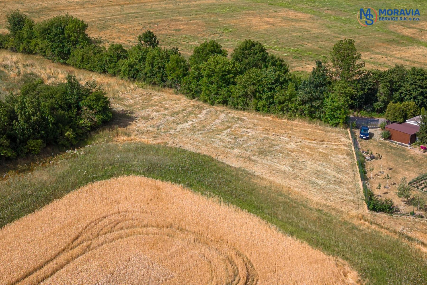 Fotka 21 z 25
