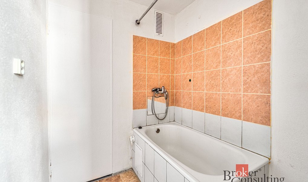 Prodej bytu 2+1 58 m², Planá – náhled fotky 7