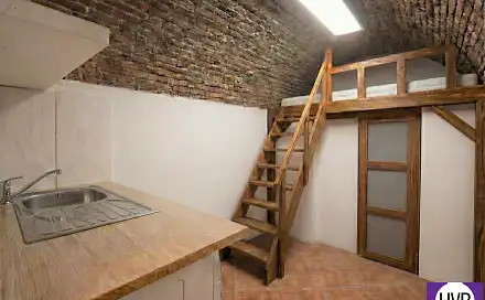 Prodej bytu 1+kk 16 m², Jagellonská, Praha 3 - Vinohrady