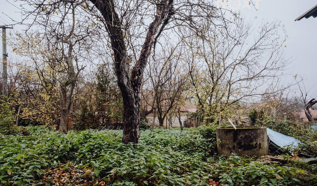 Prodej stavebního pozemku 437 m², Věteřov – náhled fotky 3