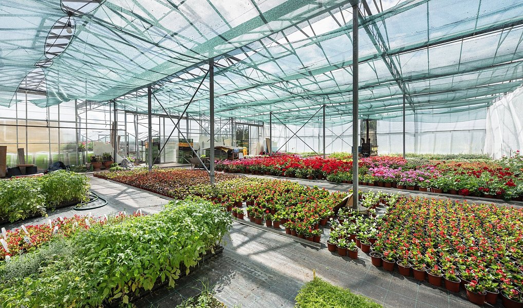 Prodej komerčního objektu (jiného typu) 956 m², Miřetice – náhled fotky 4