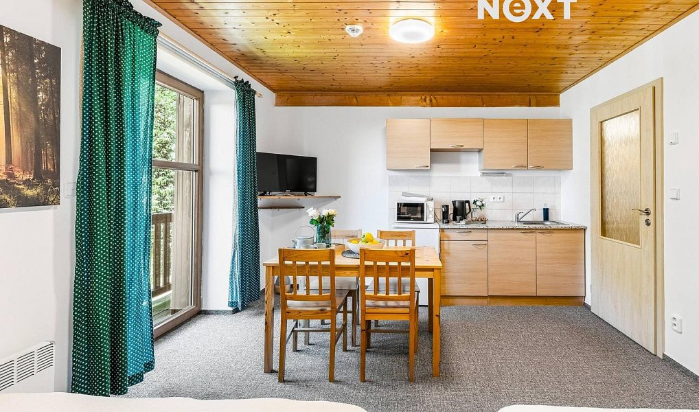 Prodej bytu 1+kk 26 m², Kubova Huť – náhled fotky 9