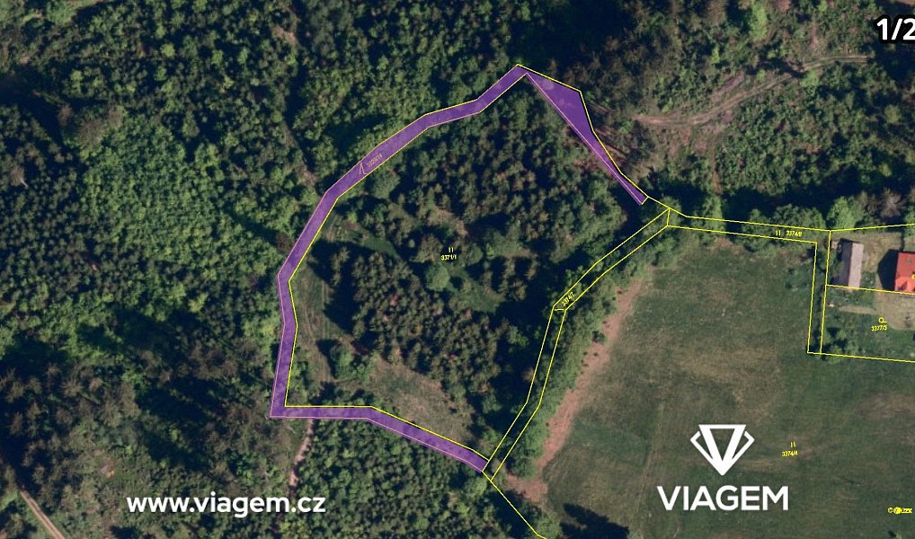 Prodej lesa 4 836 m², Hrčava – náhled fotky 4