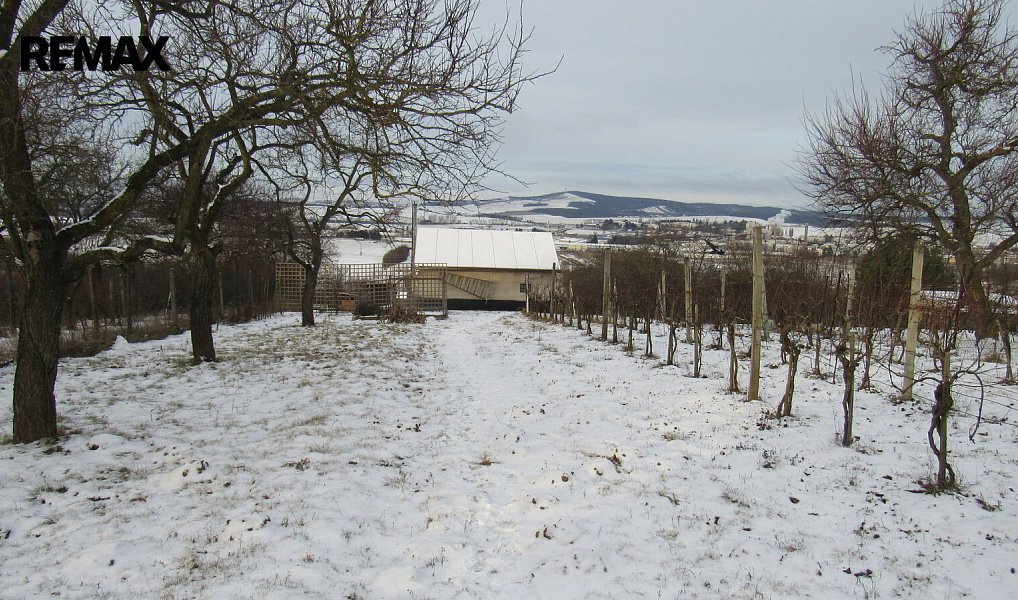 Prodej chaty/chalupy 20 m² s pozemkem 1 684 m², Kyjov – náhled fotky 22