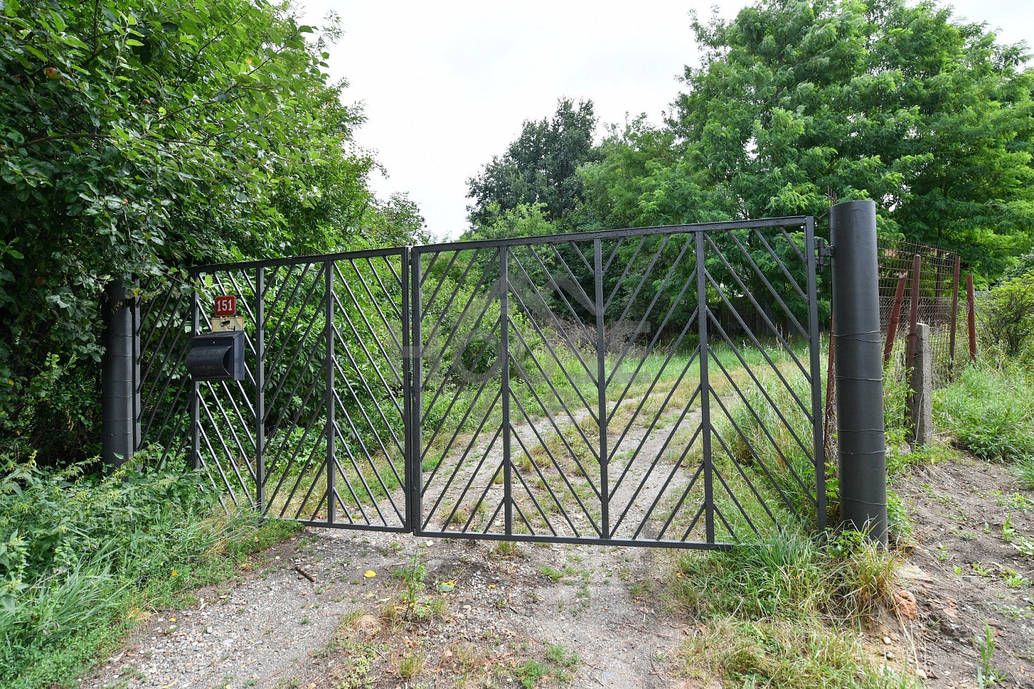 Prodej domu 240 m² s pozemkem 8 000 m² – fotografie 4