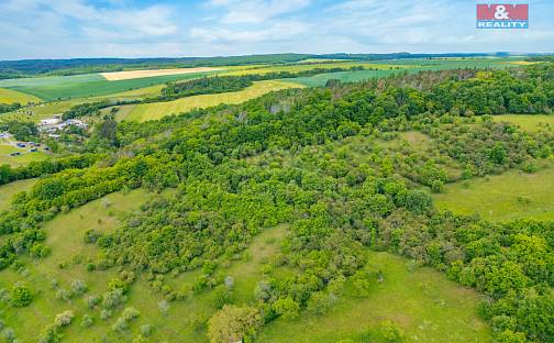 Prodej lesa 2 518 m², Chyňava, okres Beroun