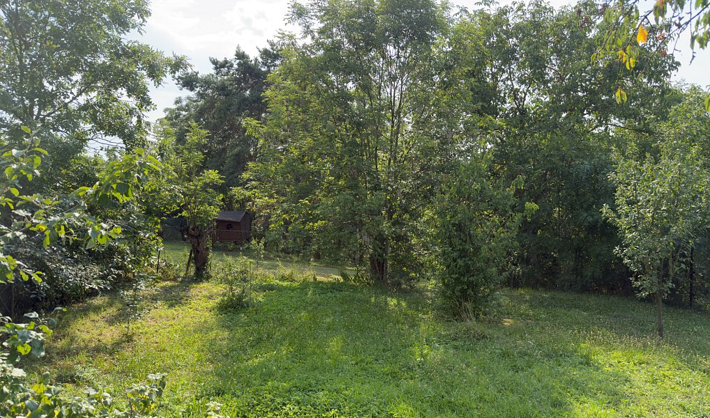 Prodej domu 60 m² s pozemkem 723 m², Tachlovice – náhled fotky 9