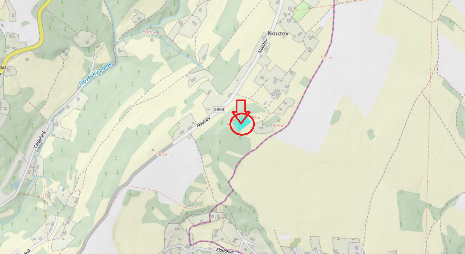 Prodej lesa 2 671 m² – pohled 5