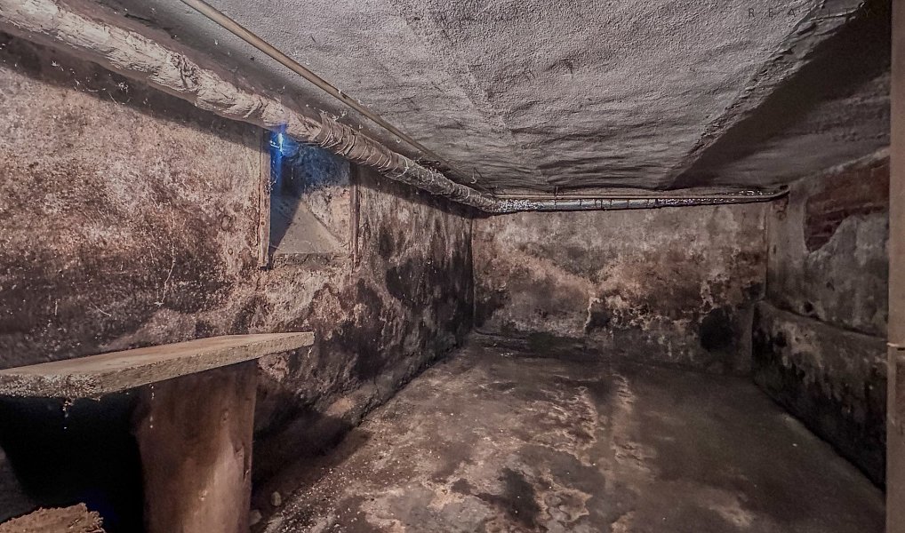 Prodej domu 250 m² s pozemkem 514 m², Staňkov – náhled fotky 46
