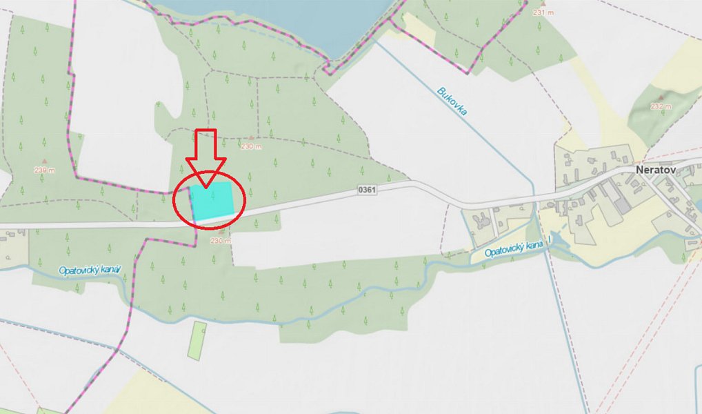Prodej lesa 10 225 m², Dobříč – náhled fotky 11