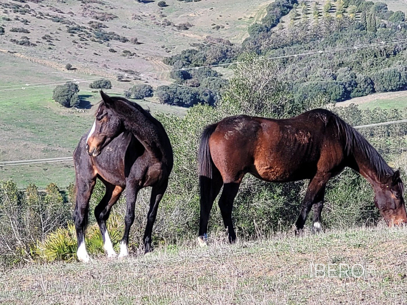 Casa 7+kk – San Martín del Tesorillo, Campo de Gibraltar - Vista 2