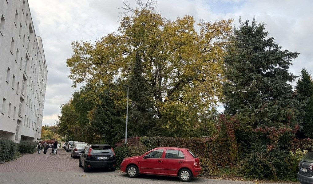 Pronájem bytu 2+kk 56 m², Brno – náhled fotky 2