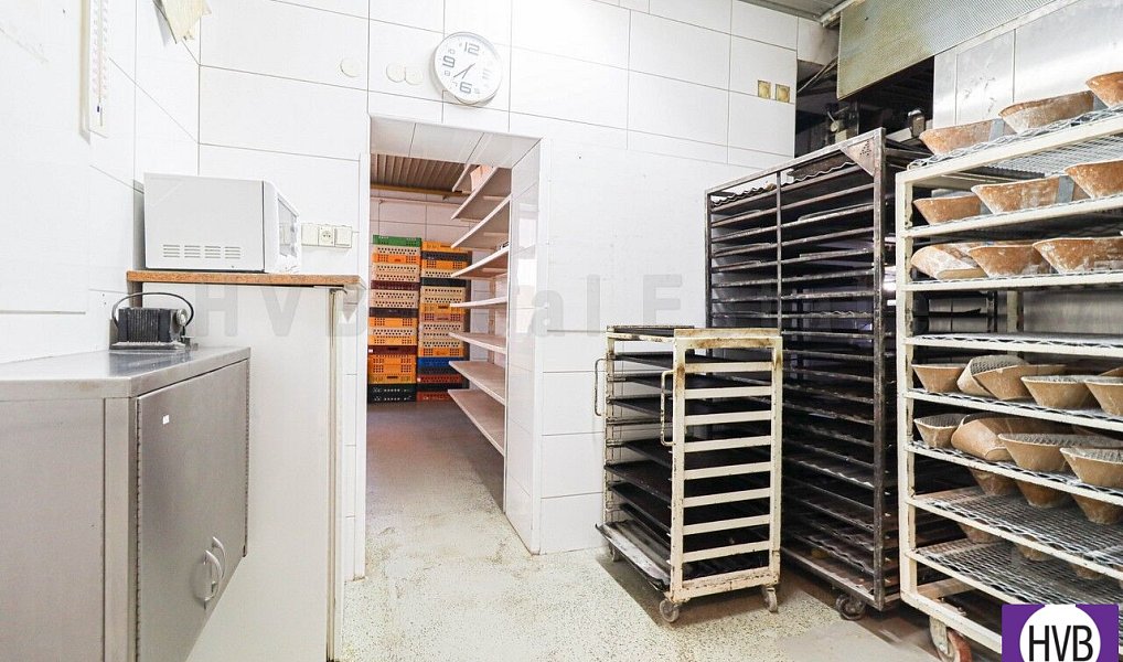 Prodej obchodních prostor 642 m², Ostrava – náhled fotky 9