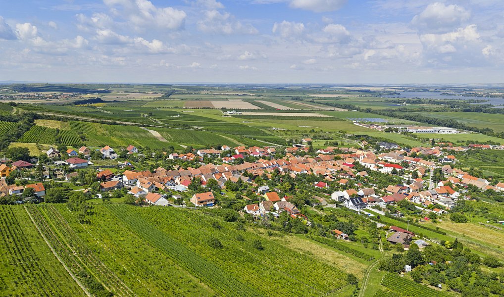 POZEMEK S VINNÝM SKLEPEM POD PÁLAVOU, HORNÍ VĚSTONICE, Horní Věstonice – náhled fotky 17