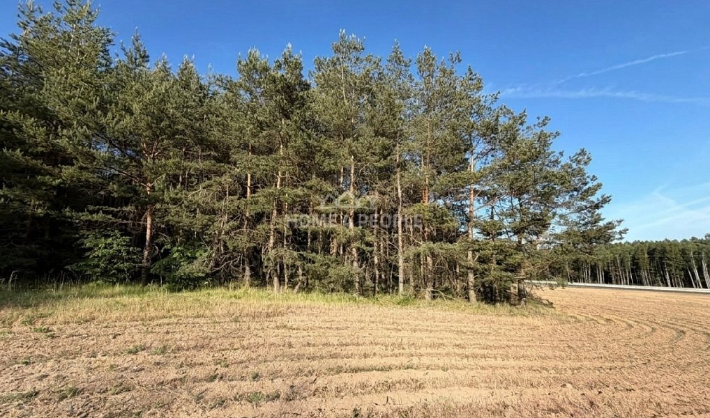 Prodej lesa 4 000 m², Háje – náhled fotky 4