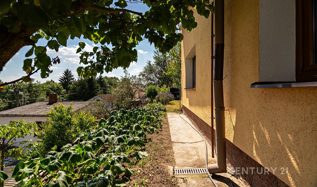Prodej domu 193 m² s pozemkem 772 m², Plzeň – náhled fotky 16