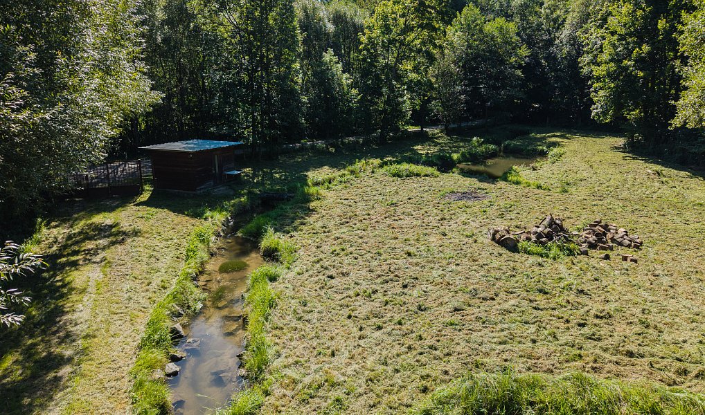 Pronájem vodní plochy 8 295 m², Nové Hrady – náhled fotky 6