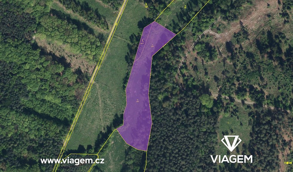 Prodej pole 4 315 m², Morašice – náhled fotky 4