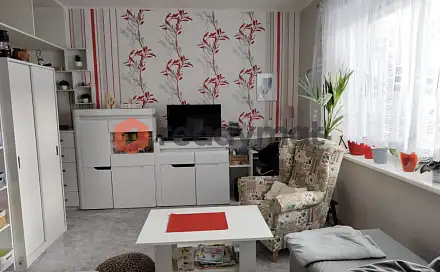 Pronájem bytu 1+kk 29 m², Hodonín