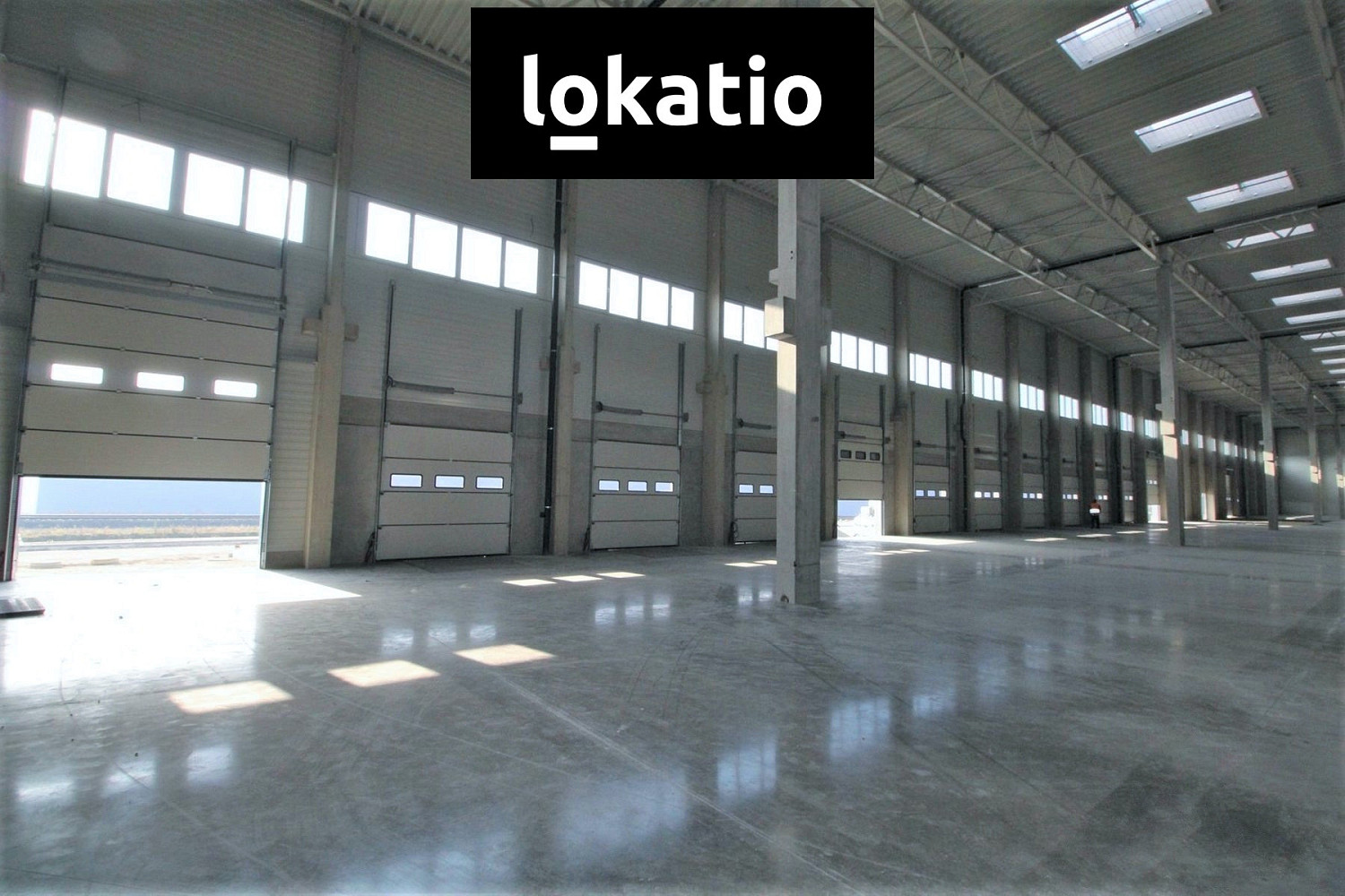 Pronájem skladovacích prostor 4 382 m² — photo 4