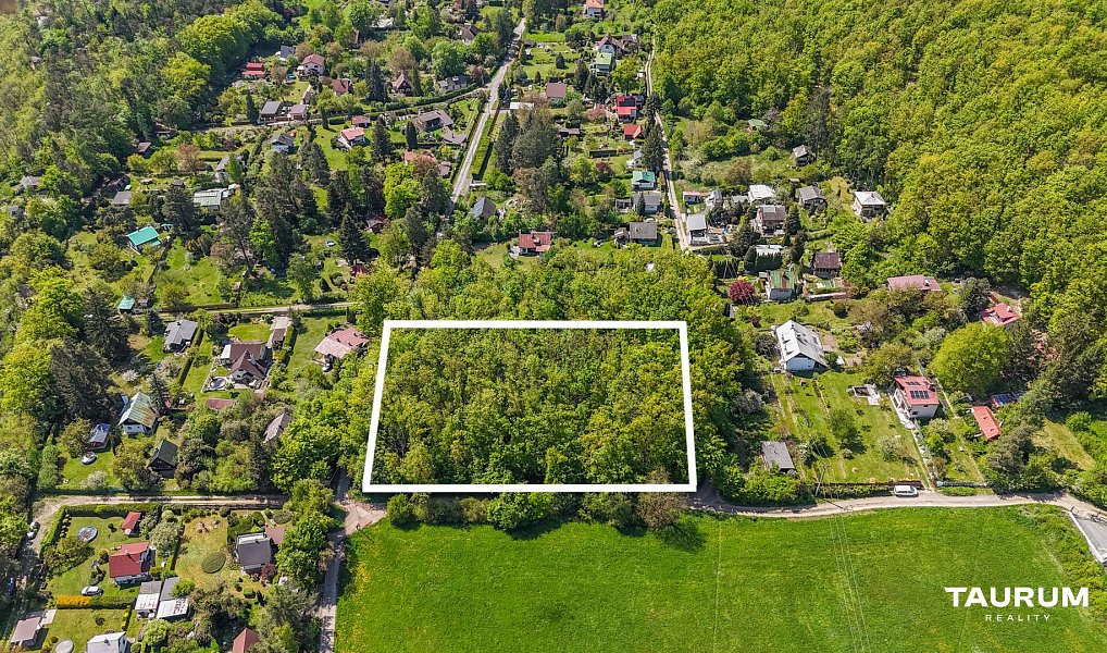 Prodej lesa 6 490 m², Petrov – náhled fotky 2