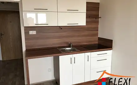 Pronájem bytu 1+kk 28 m², Gen. Píky, Ostrava - Moravská Ostrava