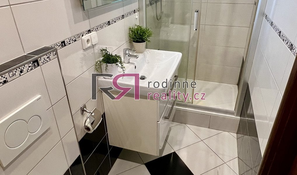 Pronájem bytu 1+kk 20 m², Praha – náhled fotky 9