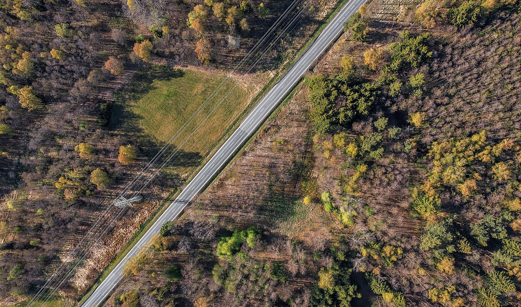 Prodej louky 4 575 m², Vítanov – náhled fotky 2