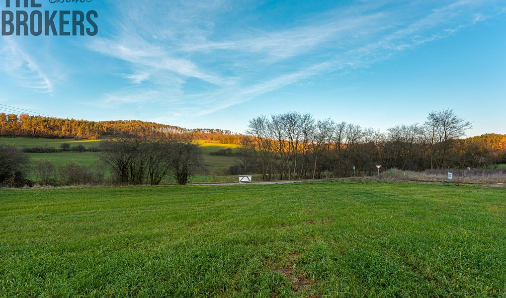 Prodej stavebního pozemku 1 979 m², Županovice – náhled fotky 4