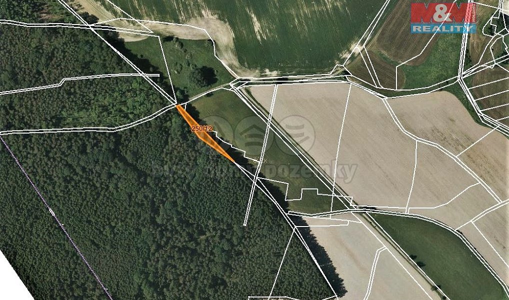 Prodej lesa 892 m², Všeruby – náhled fotky 2