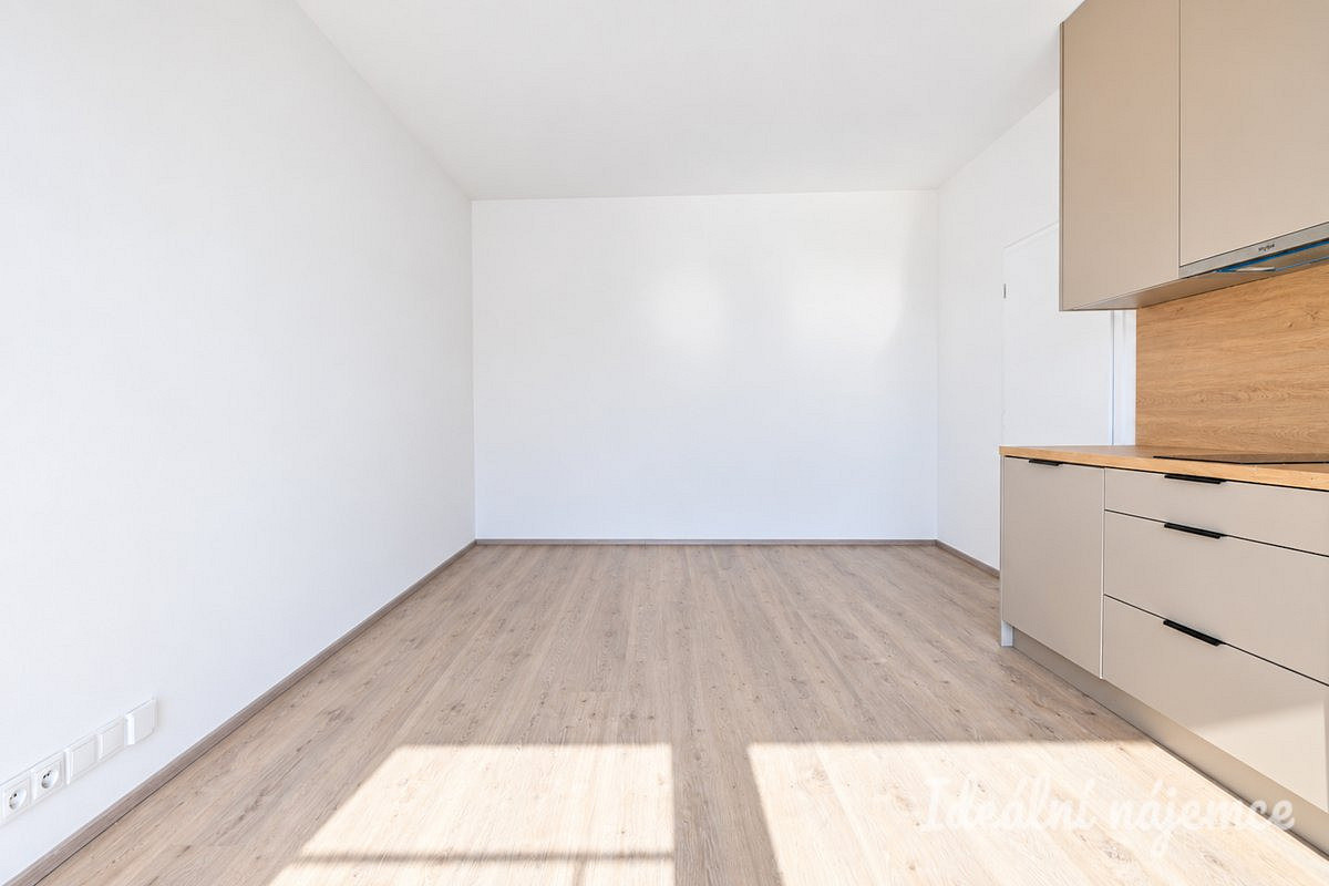 Pronájem bytu 1+kk 40 m² – fotografie 4