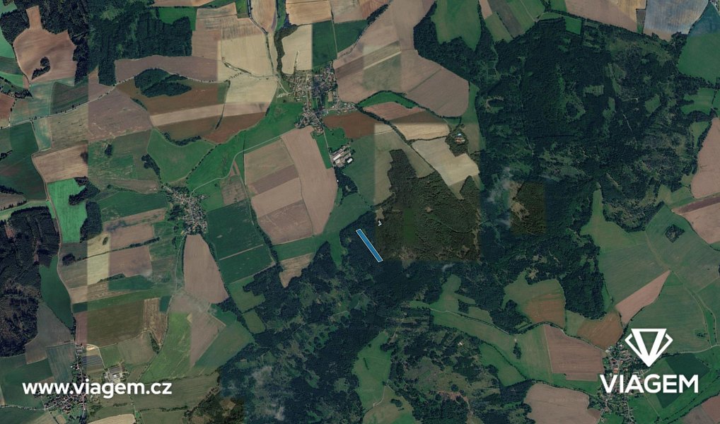 Prodej lesa 12 138 m², Hradiště – náhled fotky 3