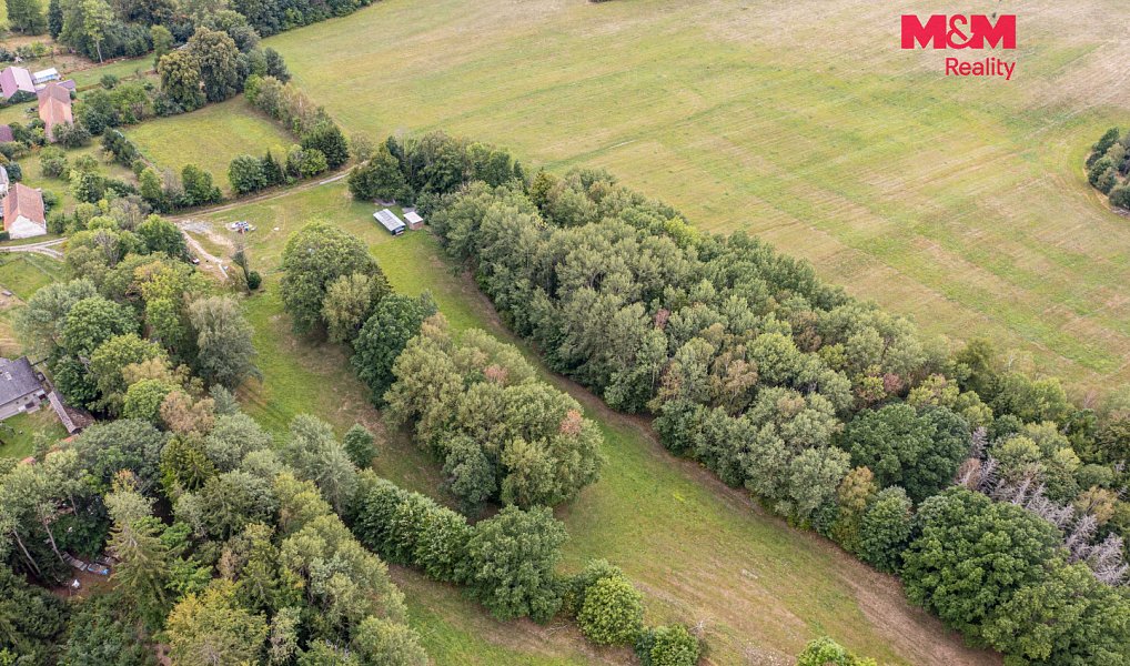 Prodej lesa 715 m², Rodná – náhled fotky 7
