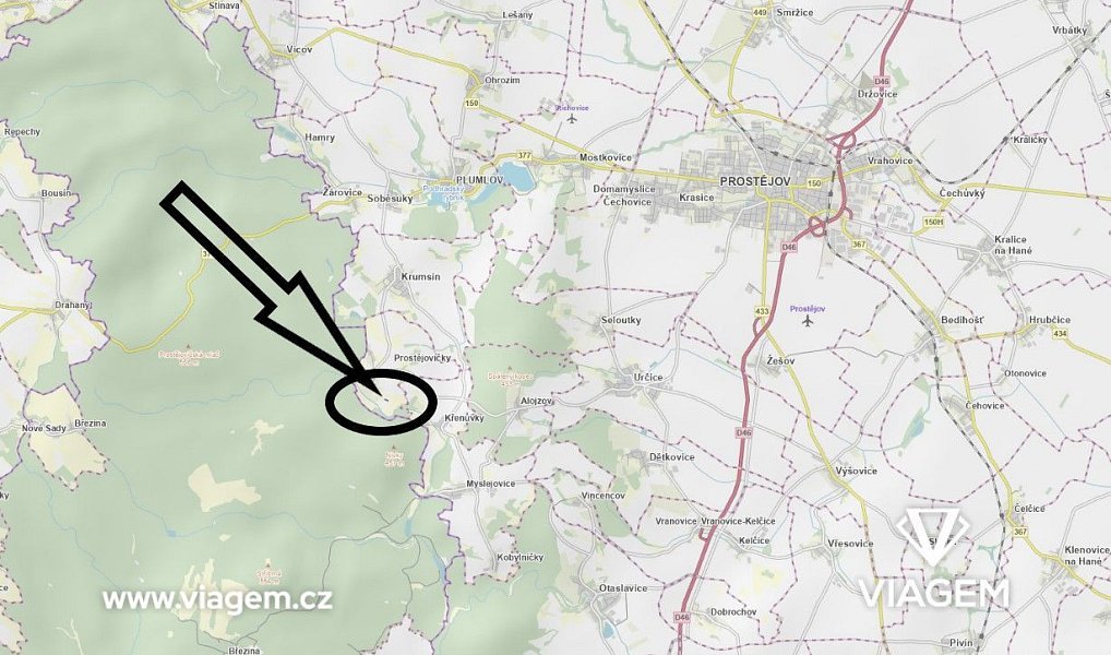 Prodej lesa 1 629 m², Prostějovičky – náhled fotky 4