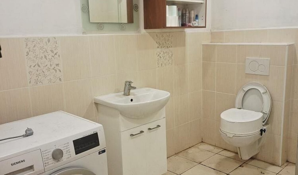 Prodej domu 250 m² s pozemkem 4 360 m², Loučany – náhled fotky 16