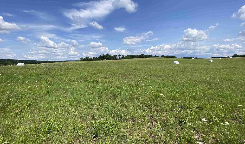 Prodej pole 55 481 m², Lhenice – náhled fotky 5
