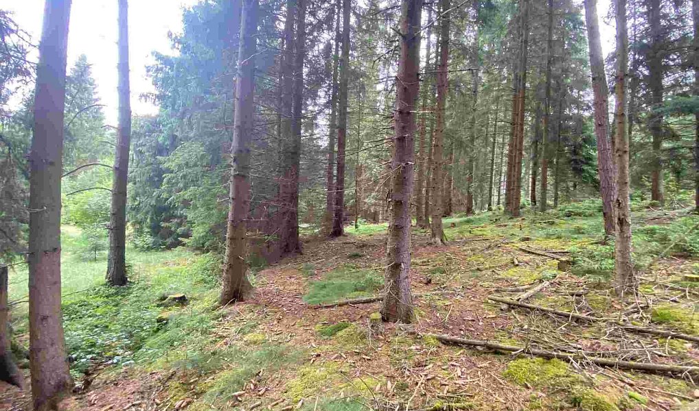 Prodej pole 1 440 m², Krásná – náhled fotky 3