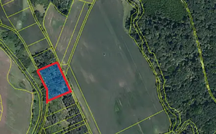 Prodej lesa 3 405 m², Břeclav - Charvátská Nová Ves