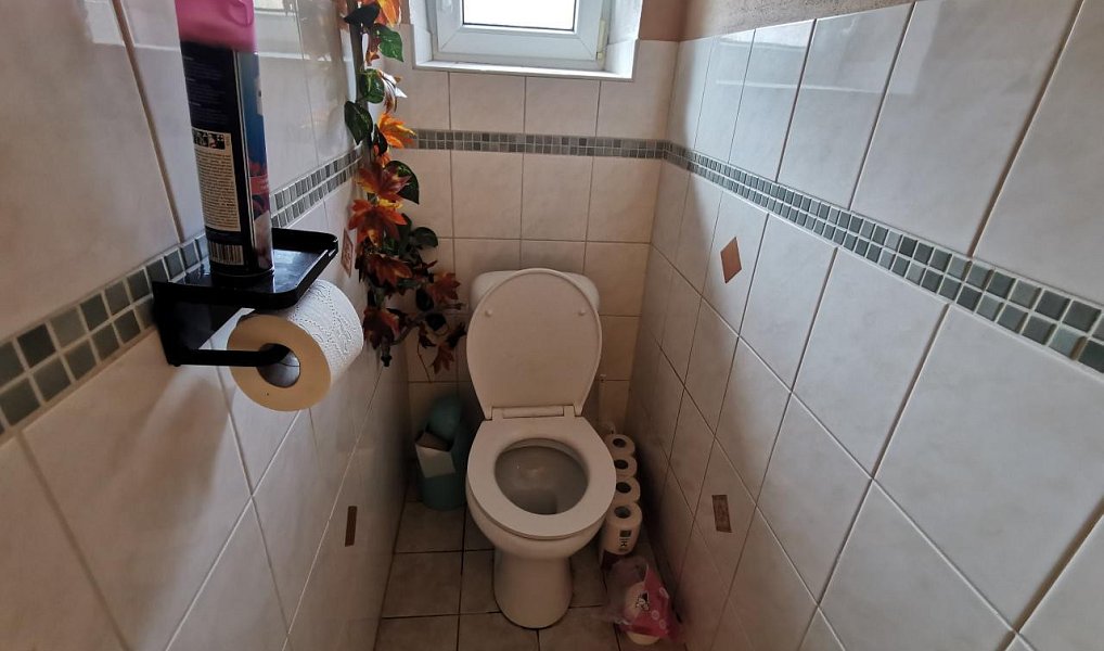 Prodej domu 240 m² s pozemkem 534 m², Kravaře – náhled fotky 15