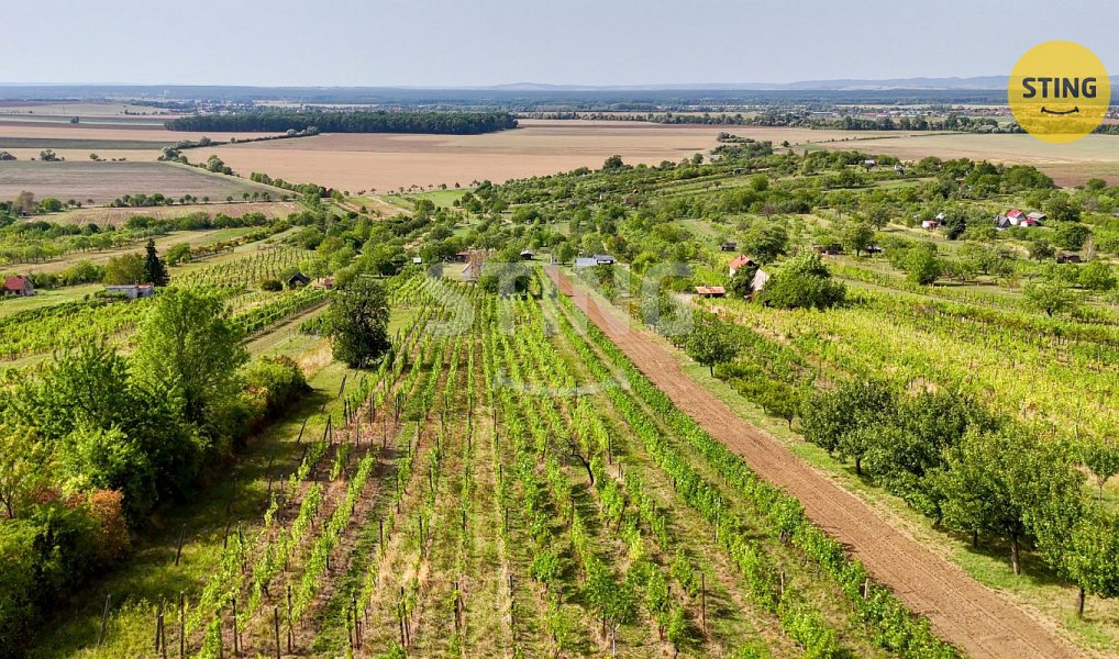 Prodej chaty/chalupy 42 m² s pozemkem 5 902 m², Strážnice – náhled fotky 13