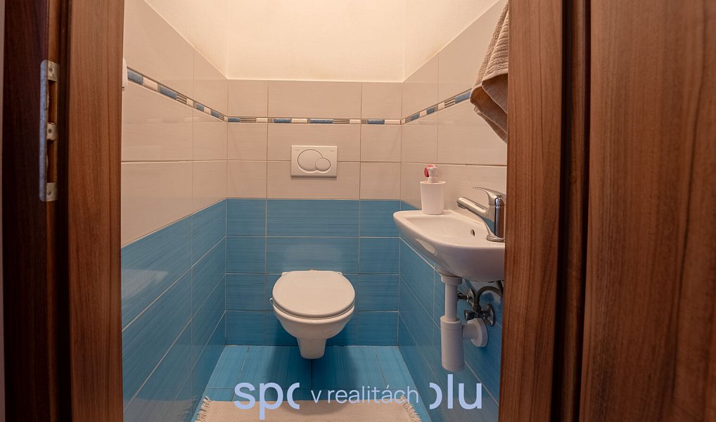 Prodej domu 127 m² s pozemkem 745 m², Bošovice – náhled fotky 21