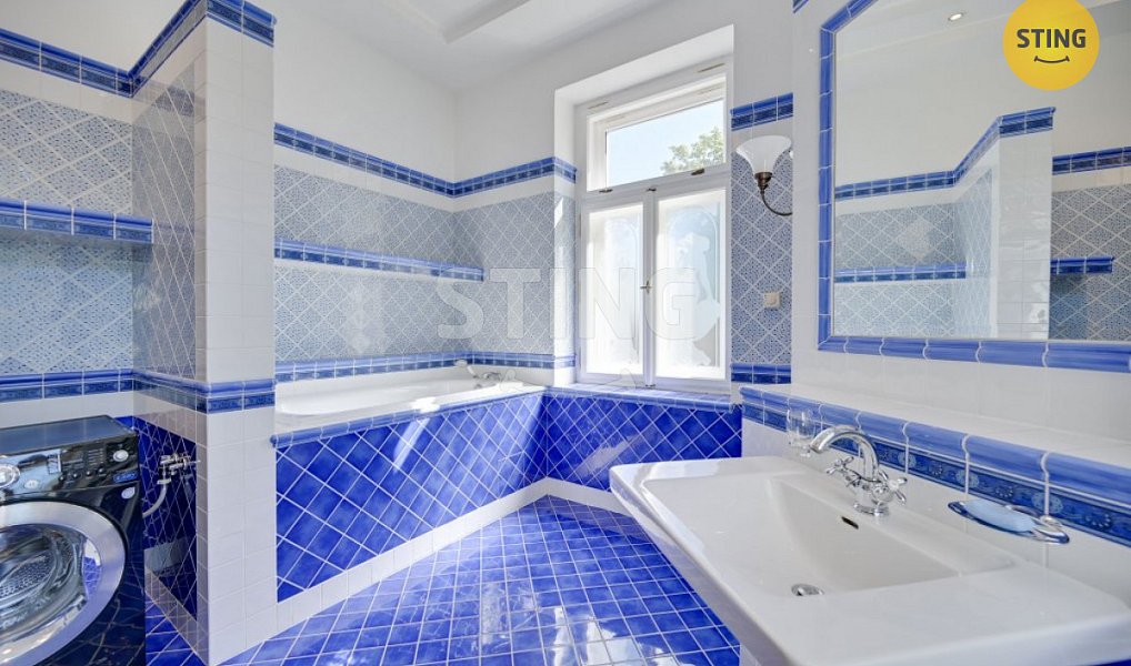 Prodej domu 700 m² s pozemkem 3 228 m², Luže – náhled fotky 23