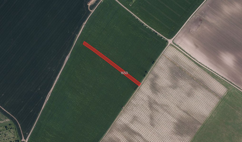 Prodej pole 10 445 m², Násedlovice – náhled fotky 2