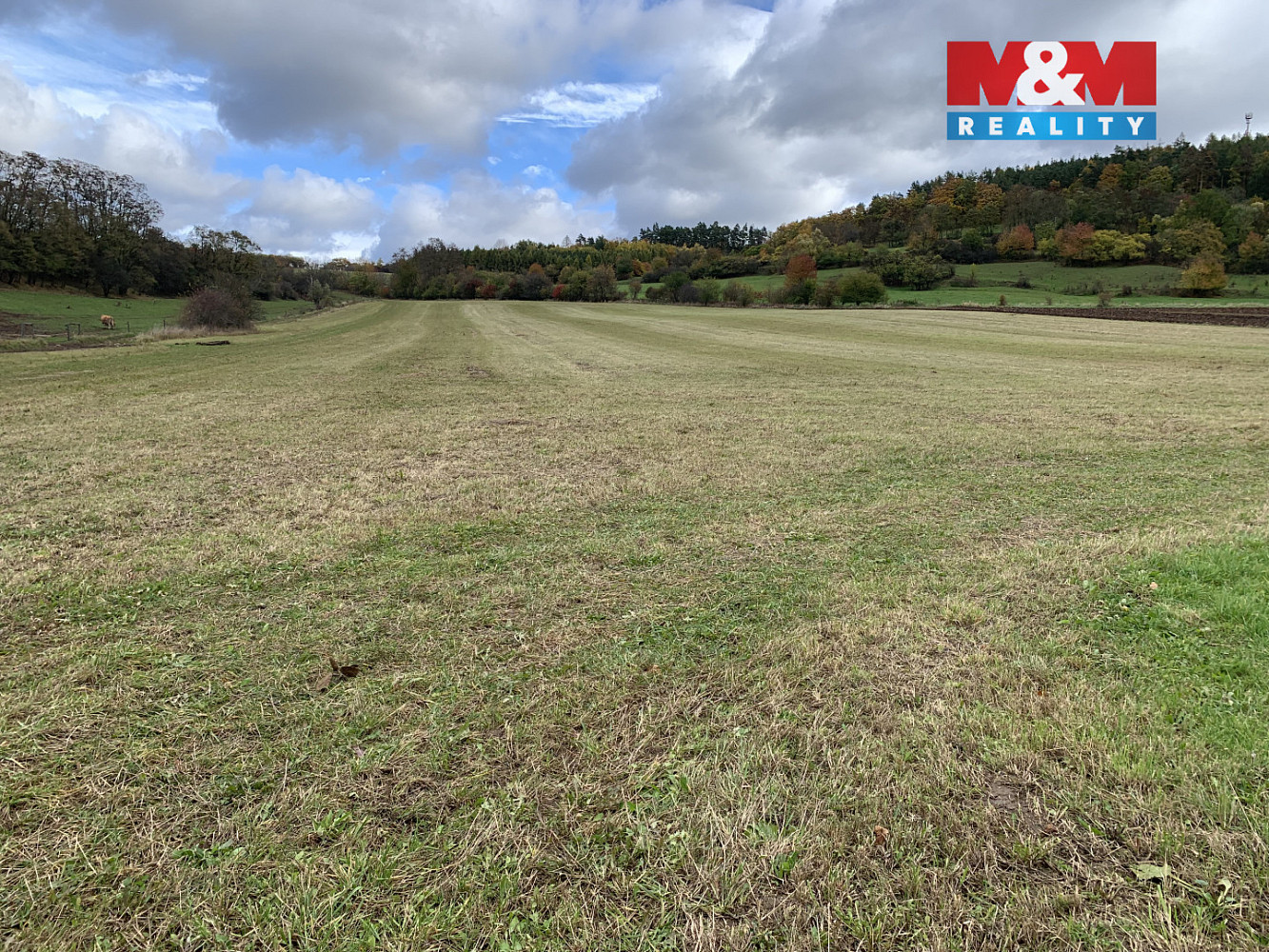 Prodej pole 3 913 m² – fotografie 2