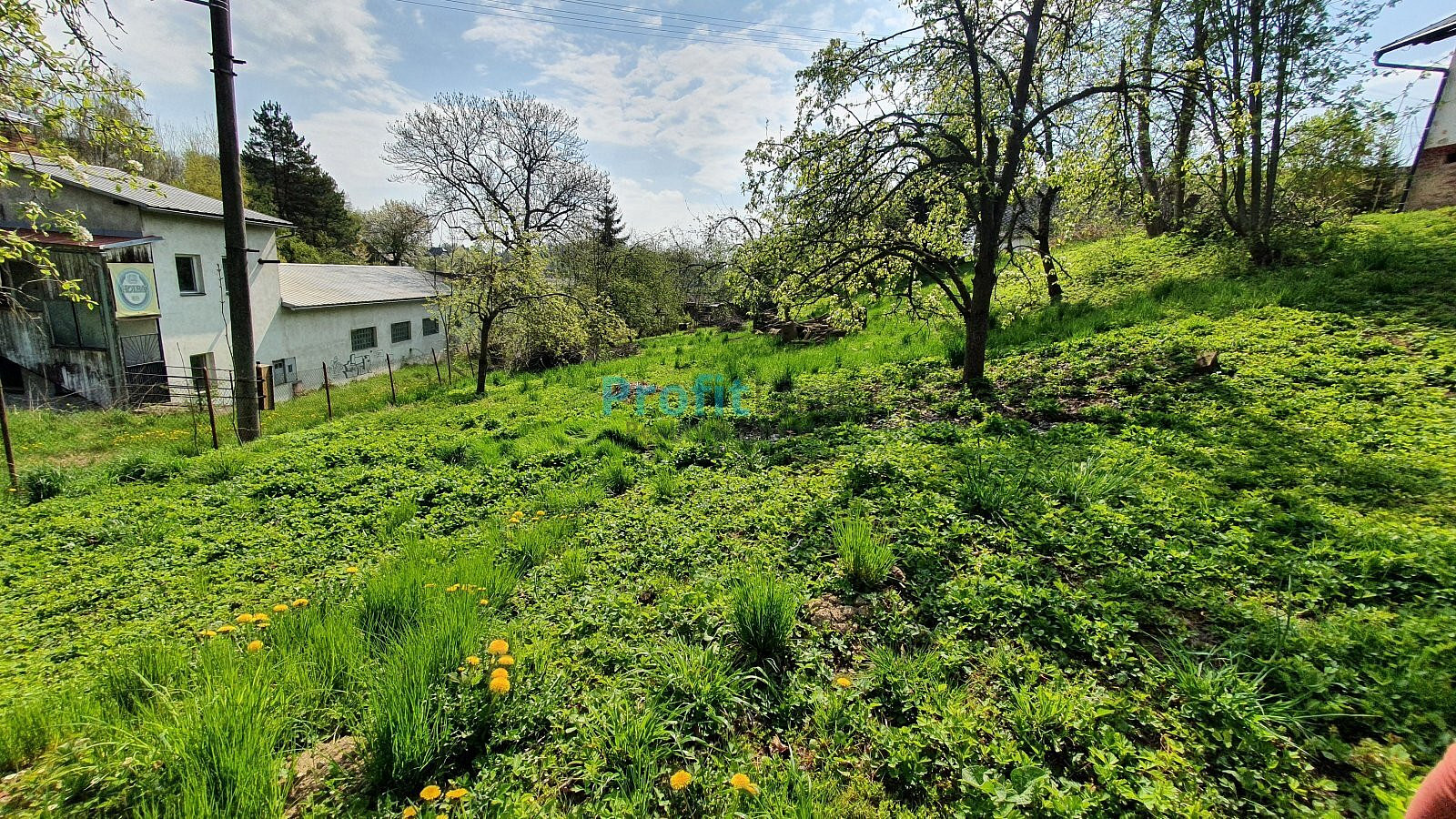 Prodej zahrady 1 714 m² – fotografie 5