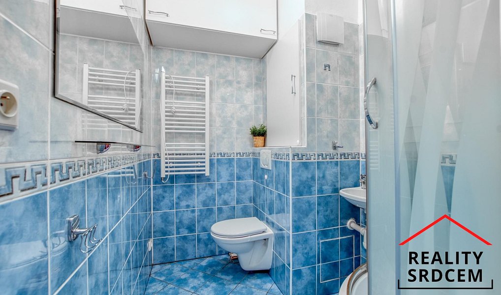 Prodej bytu 1+1 37 m², Karviná – náhled fotky 10