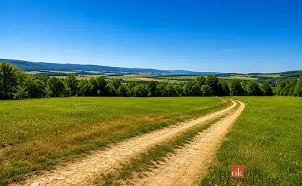 Prodej louky 3 075 m², Borotín, okres Blansko